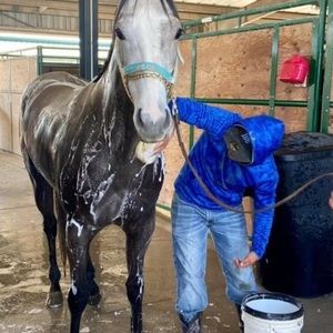 Meet your Posher, Oscar